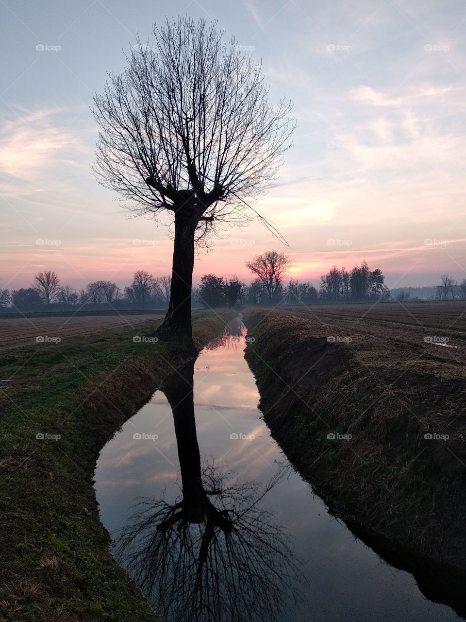 Trees and nature. Autumn's mood.  Romantic sunset.