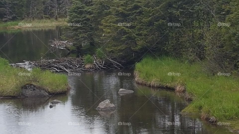 dam in the stream. alaska