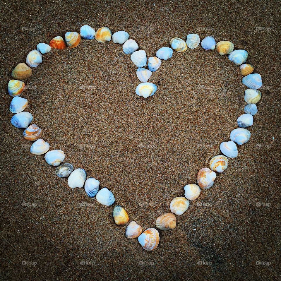 Shellheart. Heart made with shells on Tylösand Beach