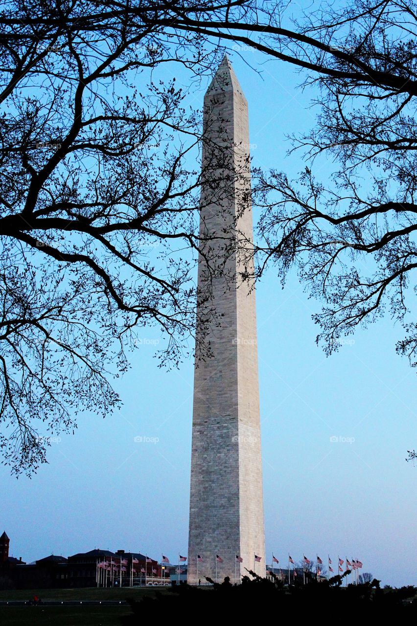 Washington monument 