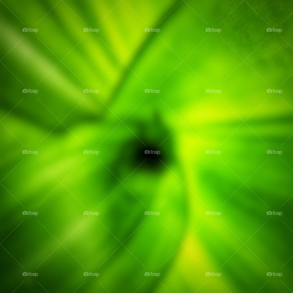Black hole among greenery