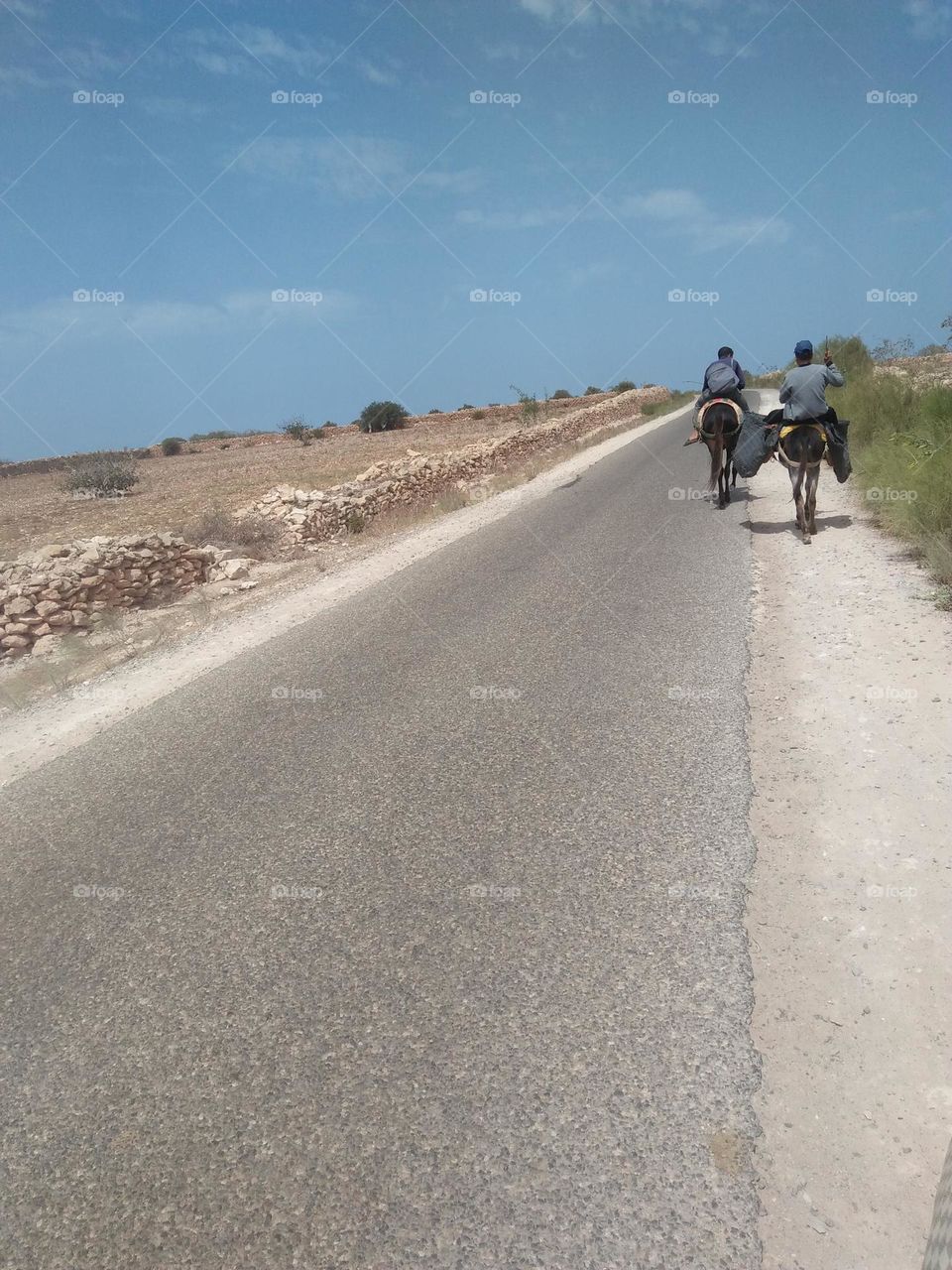  Two villagers showed their donkeys in the direction of the village market.