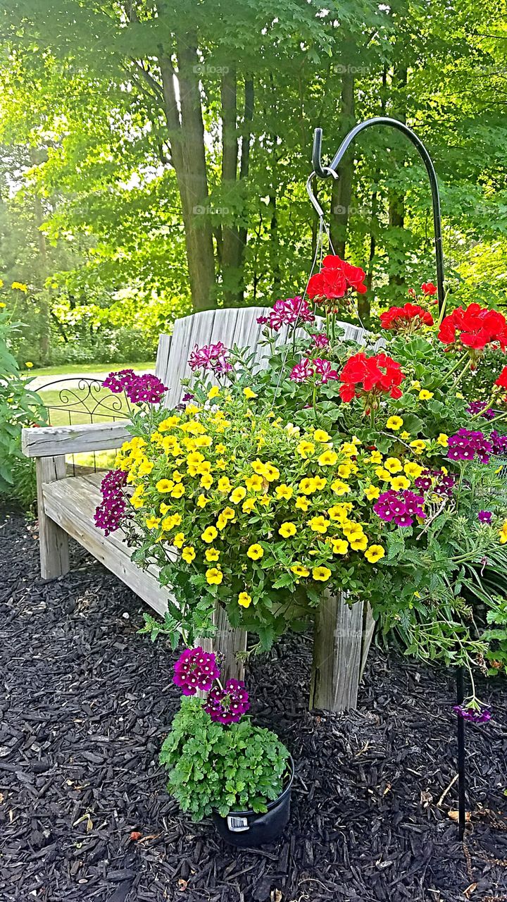 garden bench surrounded by flowers