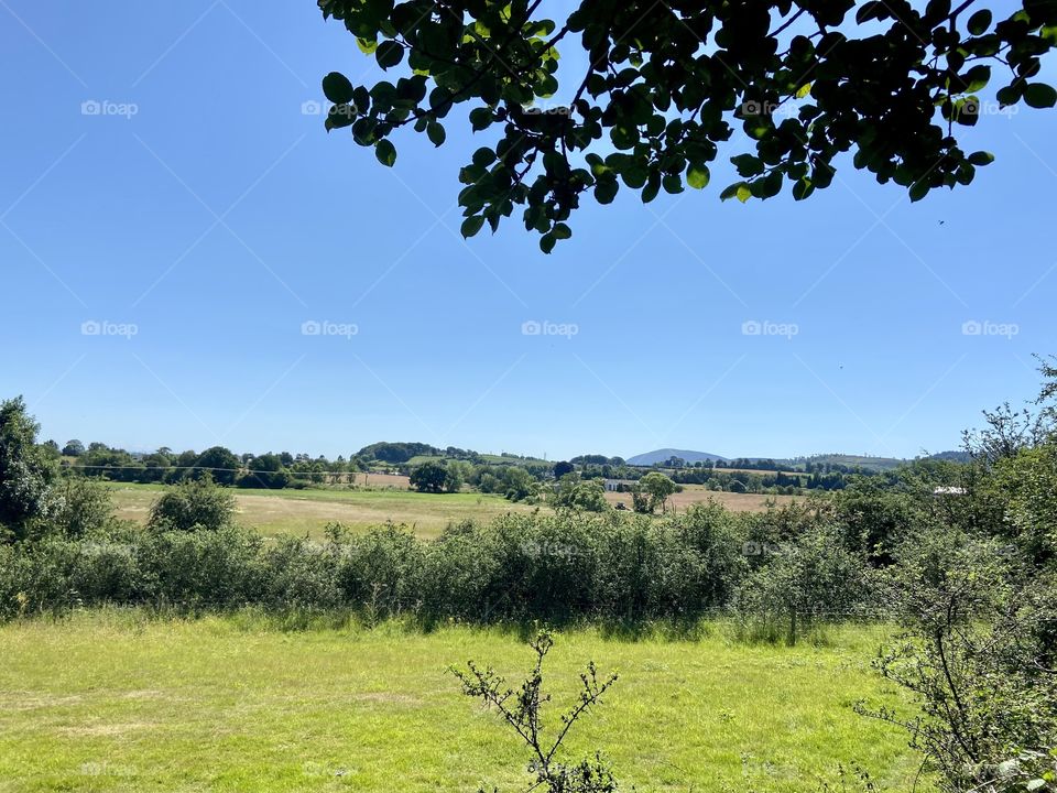 A wee wander at lunch time ❤️