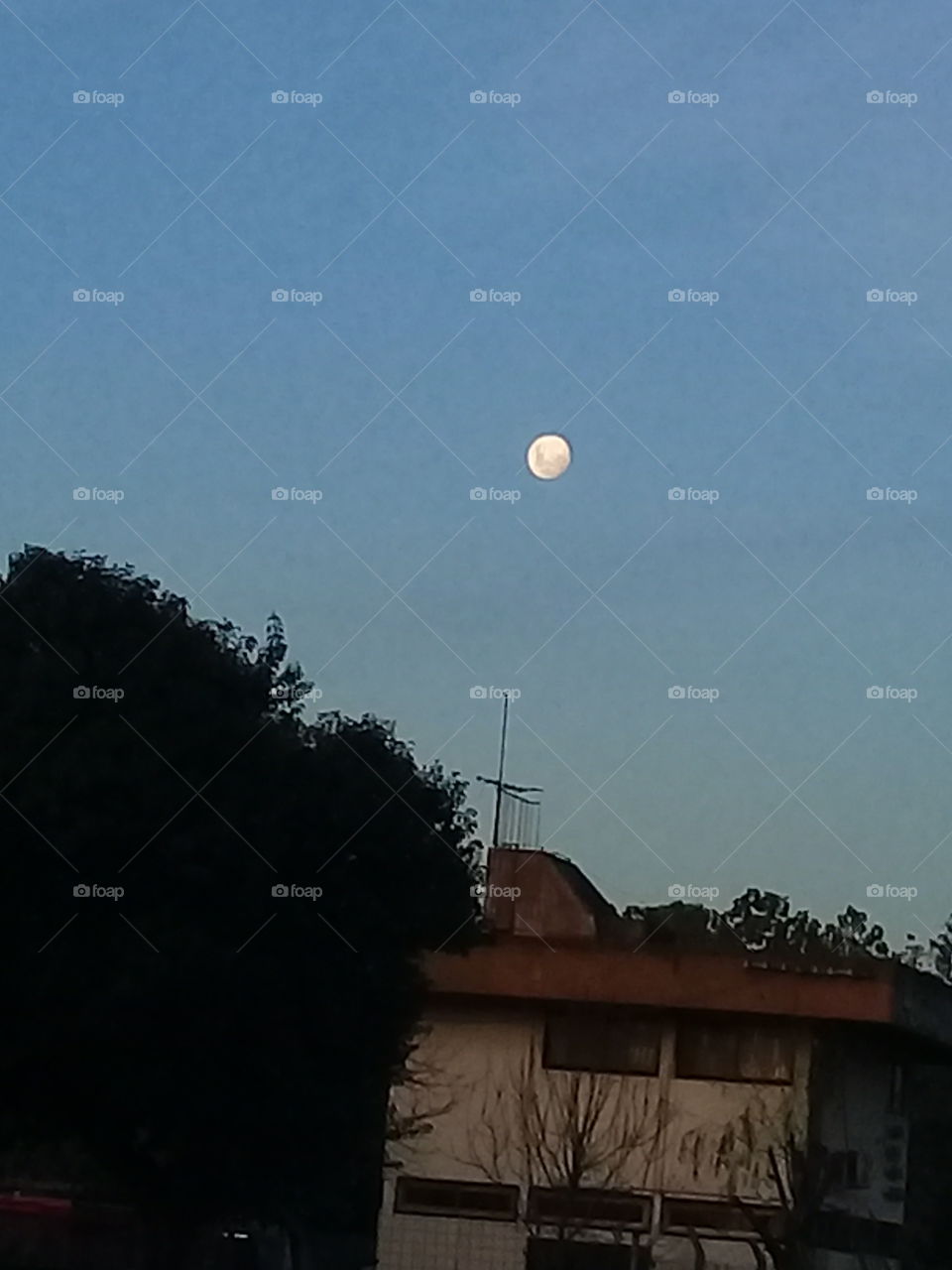 fotografía de una luna llena iluminando un cielo despejado de otoño sobre un pueblo de la provincia de Buenos Aires.