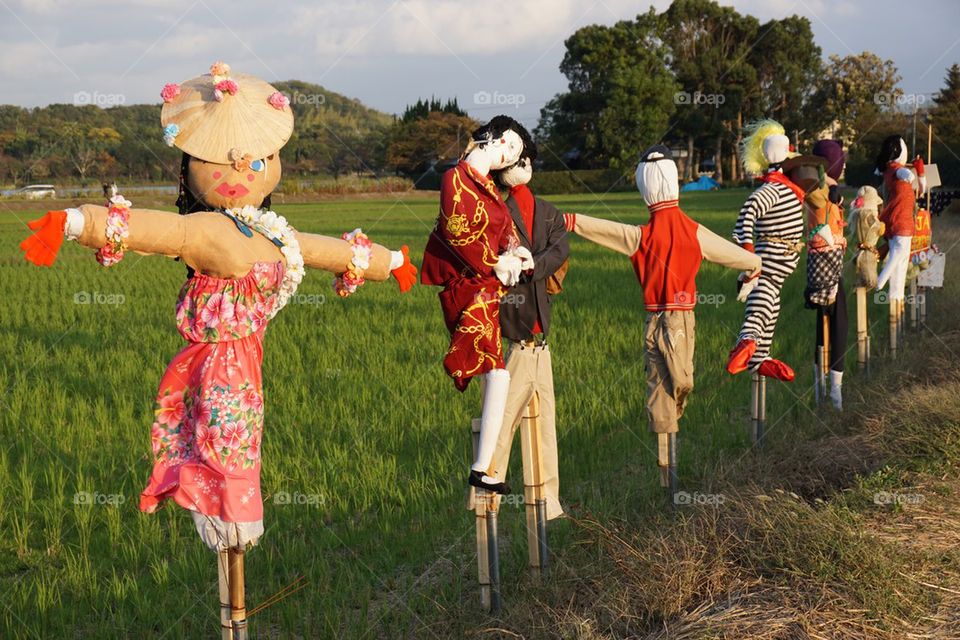 Scarecrows 