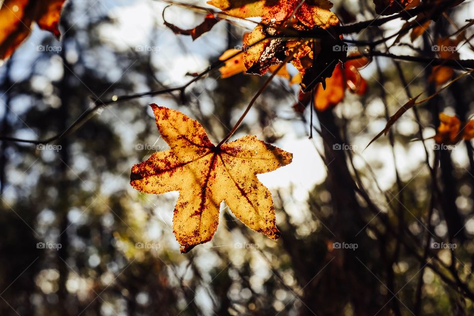 Fall adventures will always be a favorite 🍂