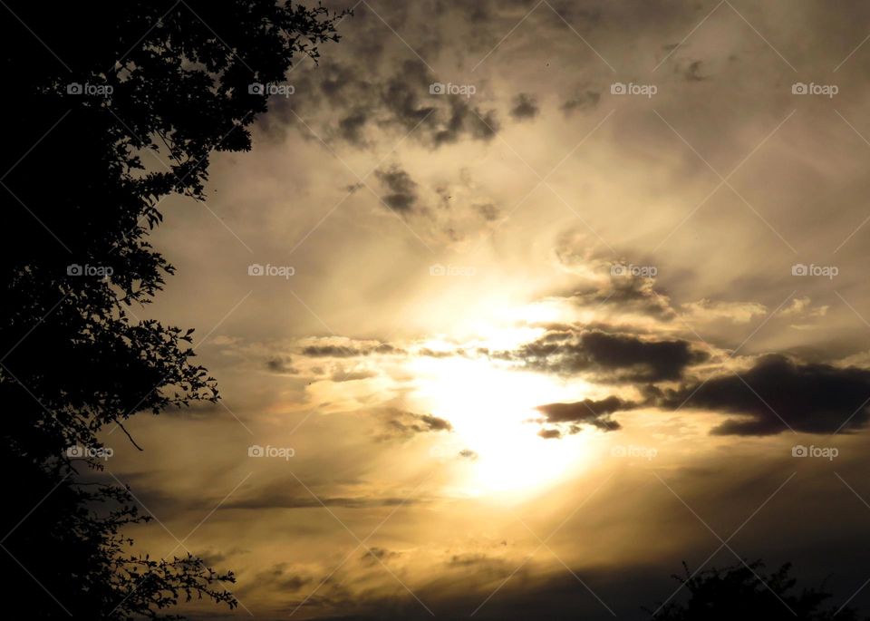 Silhouette sunset and golden sunset