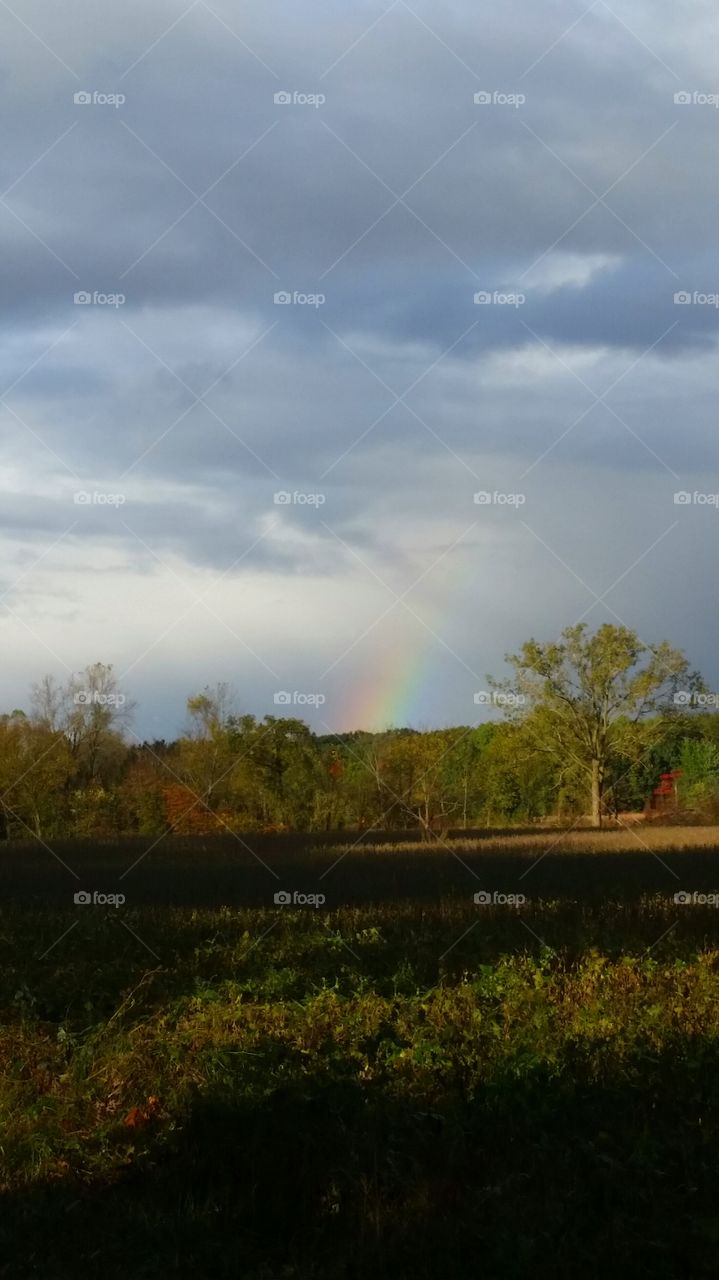 Fall  Rainbow