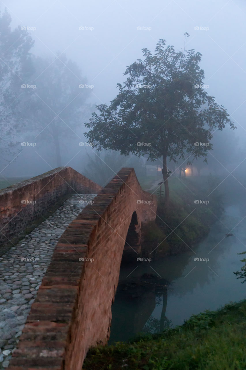 Bridge over the stream