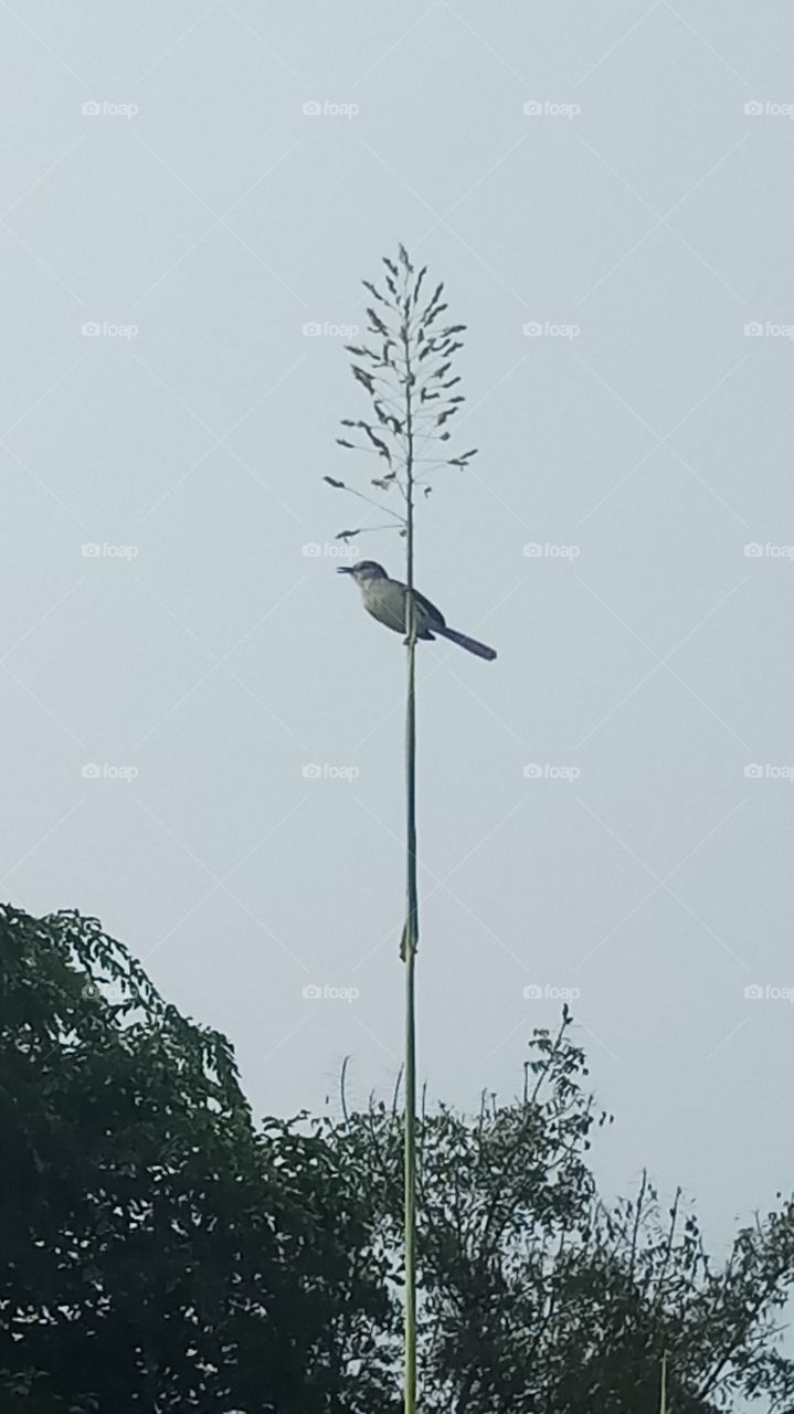 This is very nice click beaityfull and nature