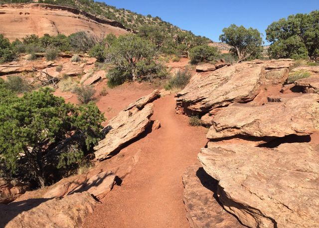 The rocky path.