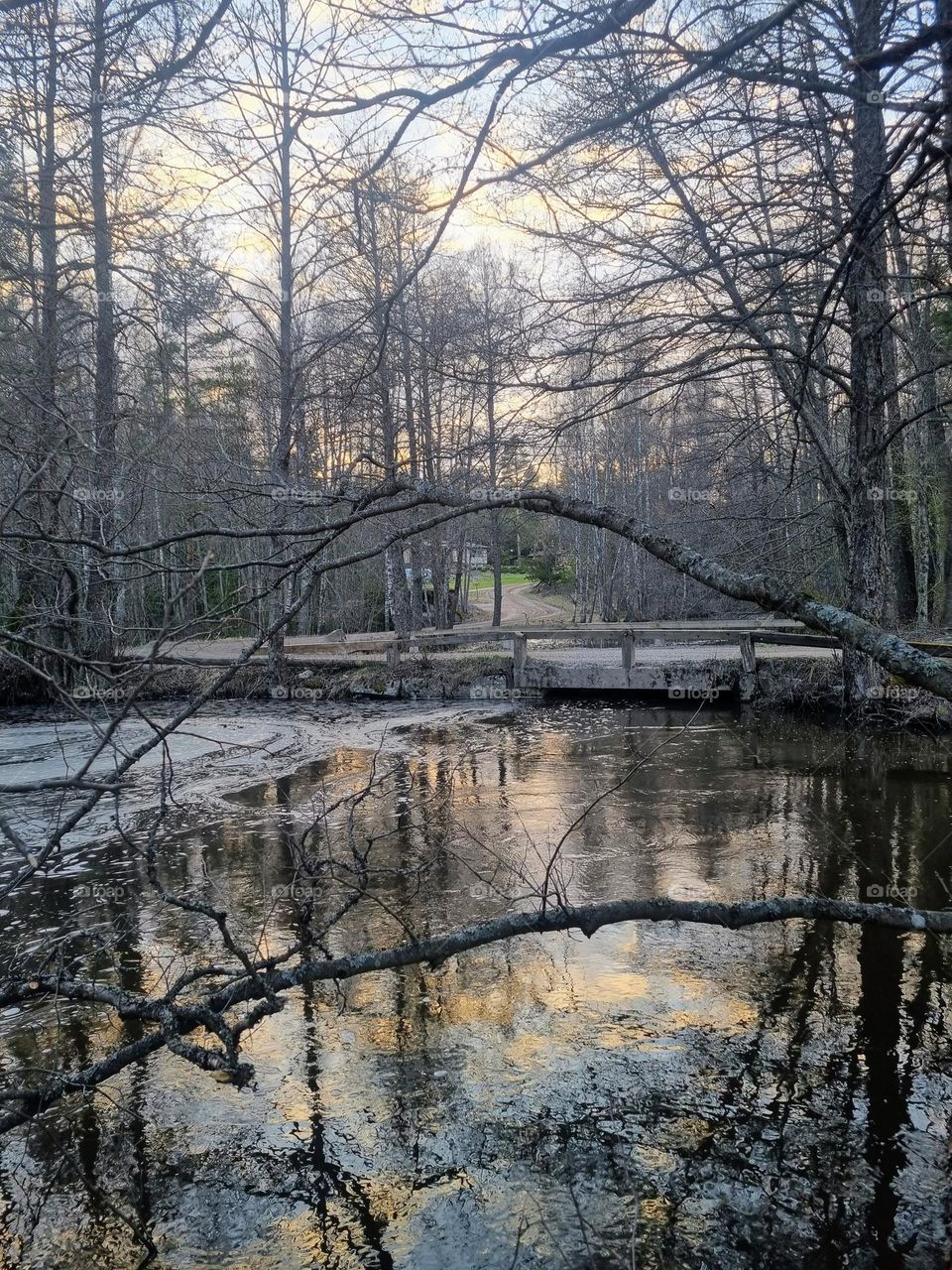 River on a spring evening