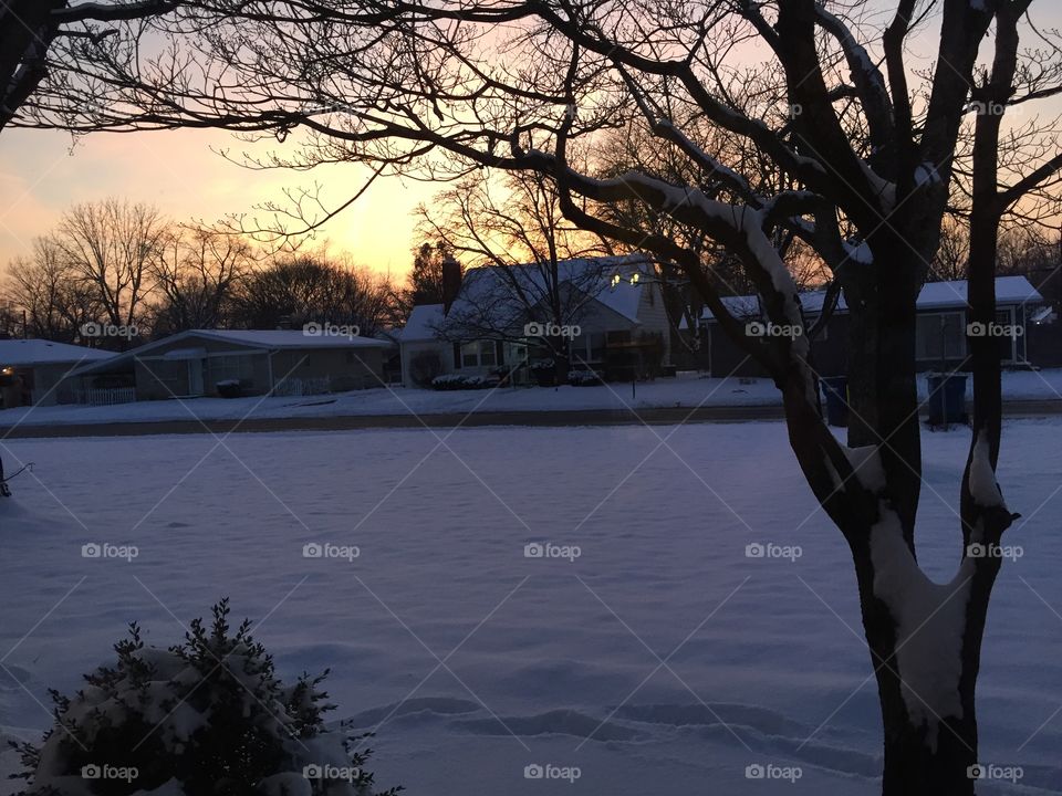 A Snowy Sunset 
