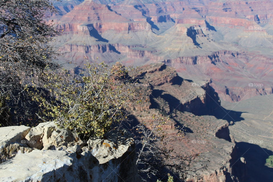 vacation Grand Canyon memories