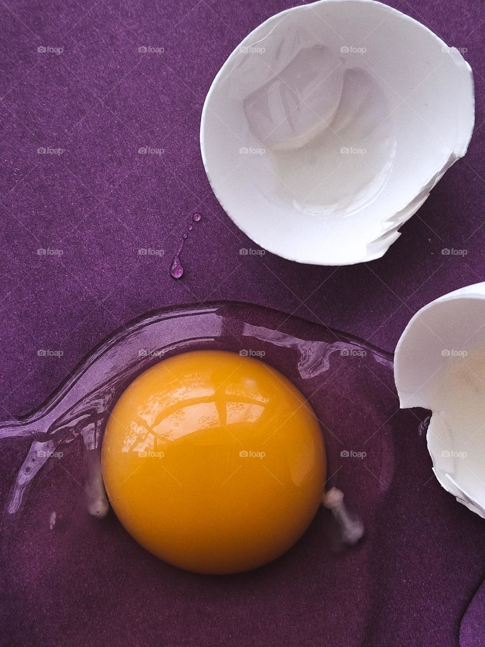 chicken egg with a yellow yolk on a purple background, showing a combination of complementary colors