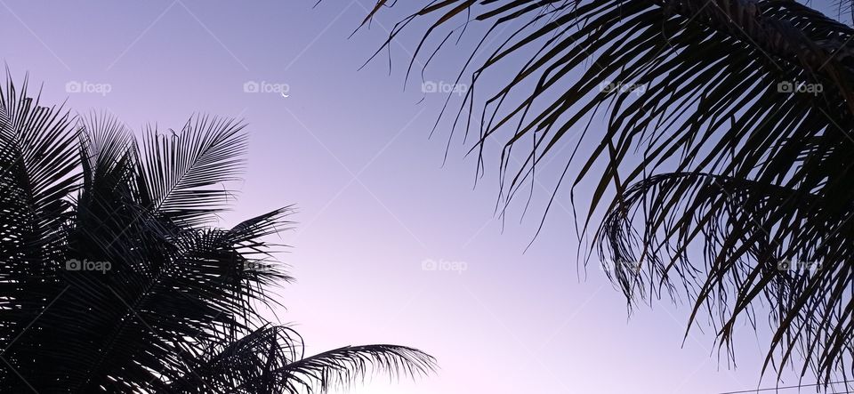 Uma bela tela naturalmente criada