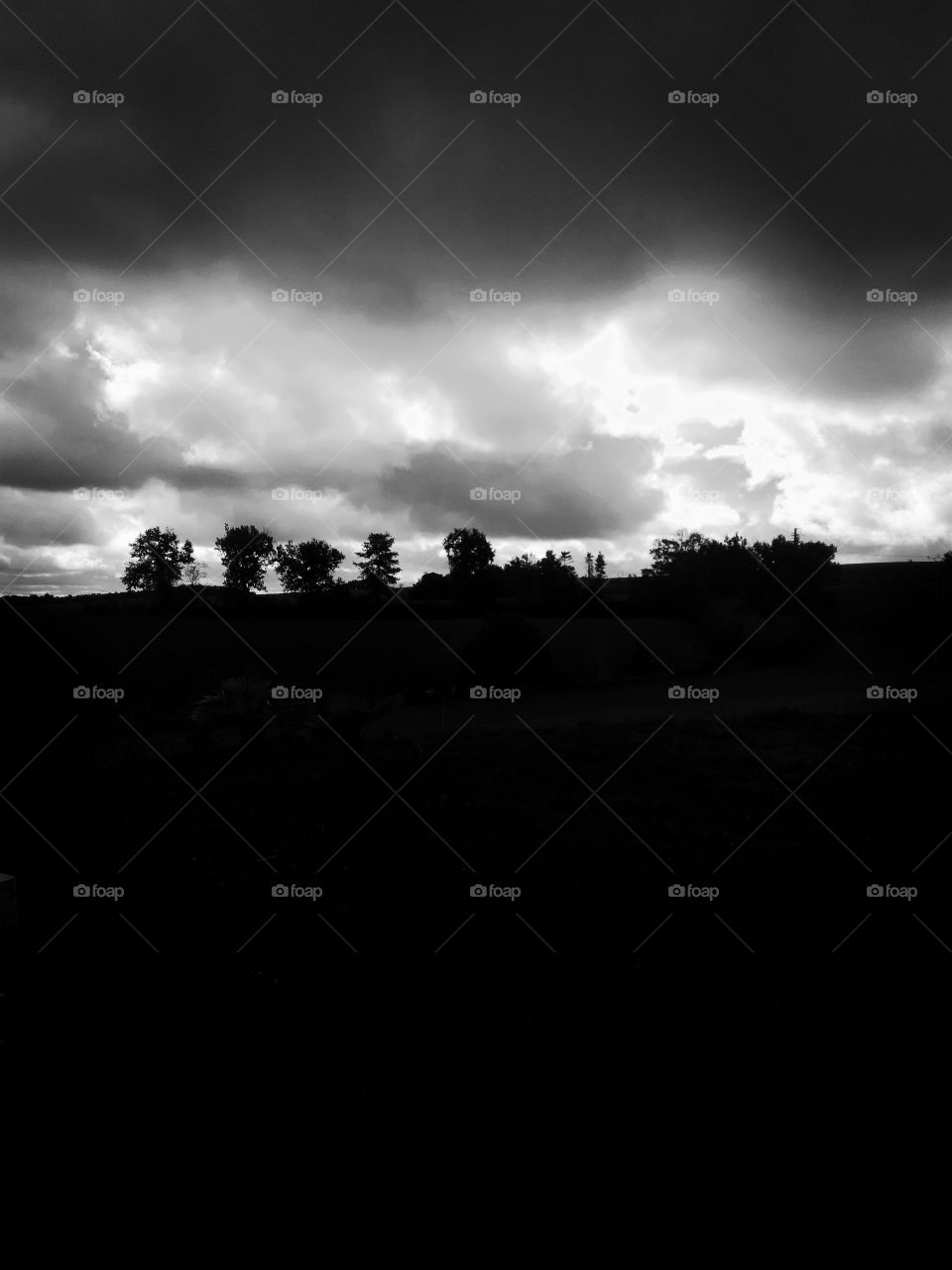 trees, silhouettes, arbres