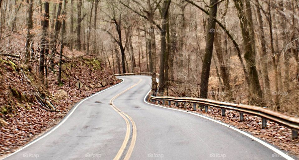 Magnetic Road, Eureka Springs, Arkansas is a twisting, curving scenic drive through some gorgeous terrain.