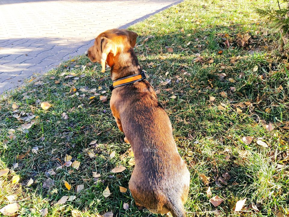 Осенние прогулки по городу