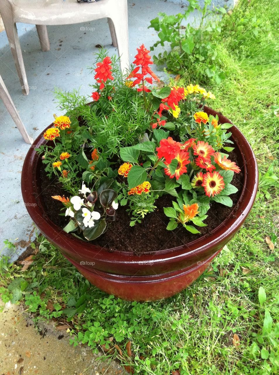 Flower pot