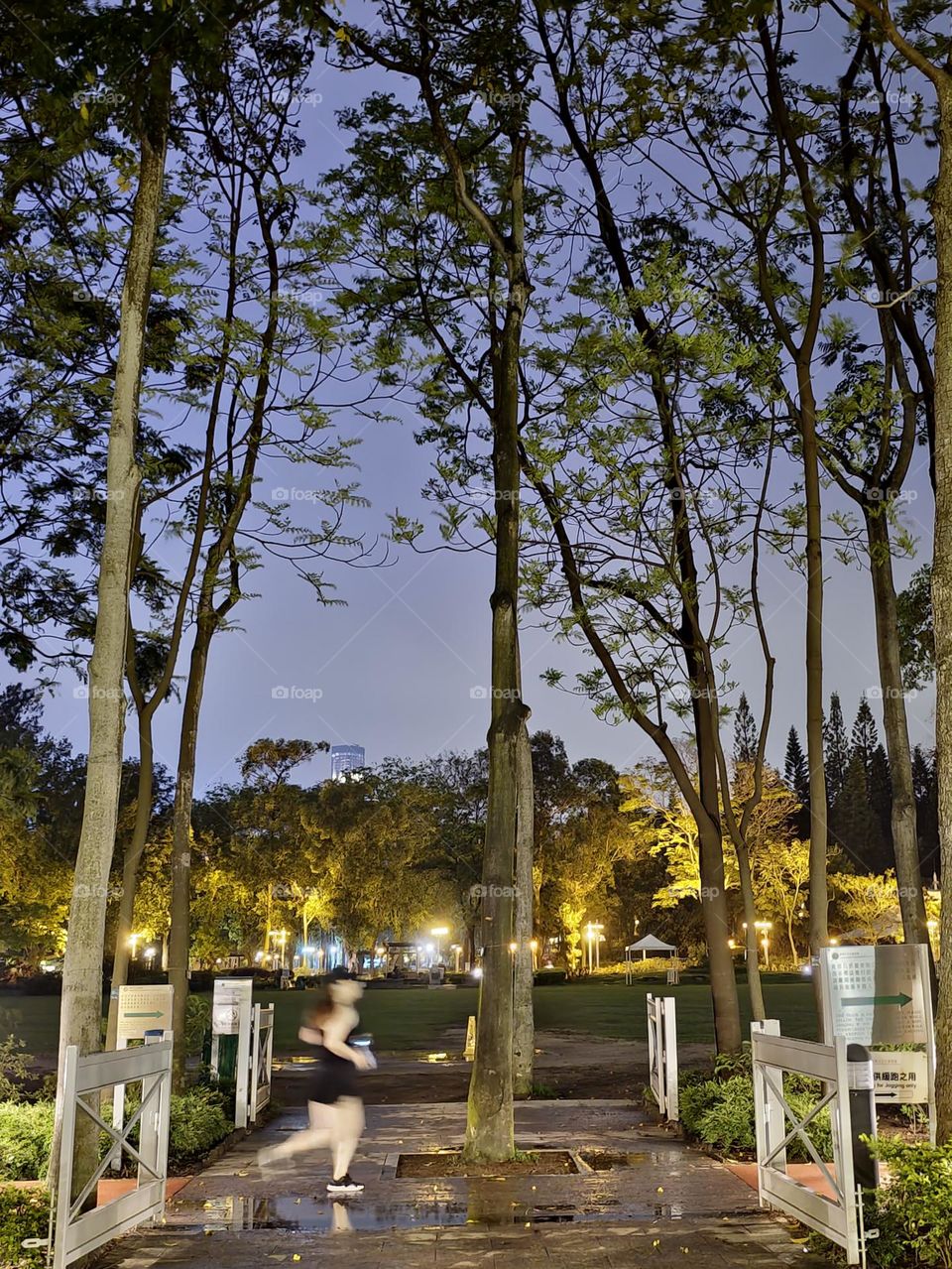 Night runner after the rain at Hong Kong Victoria Park