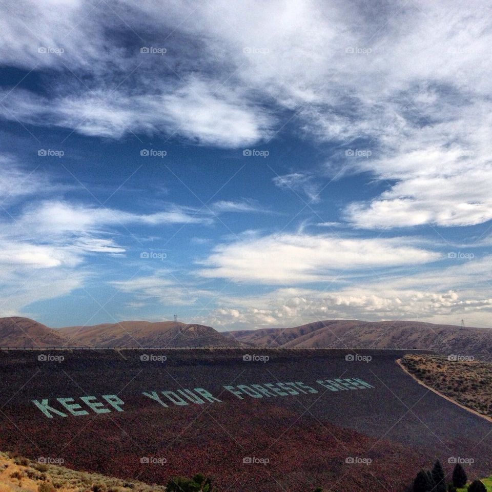 Keep Your Forests Green