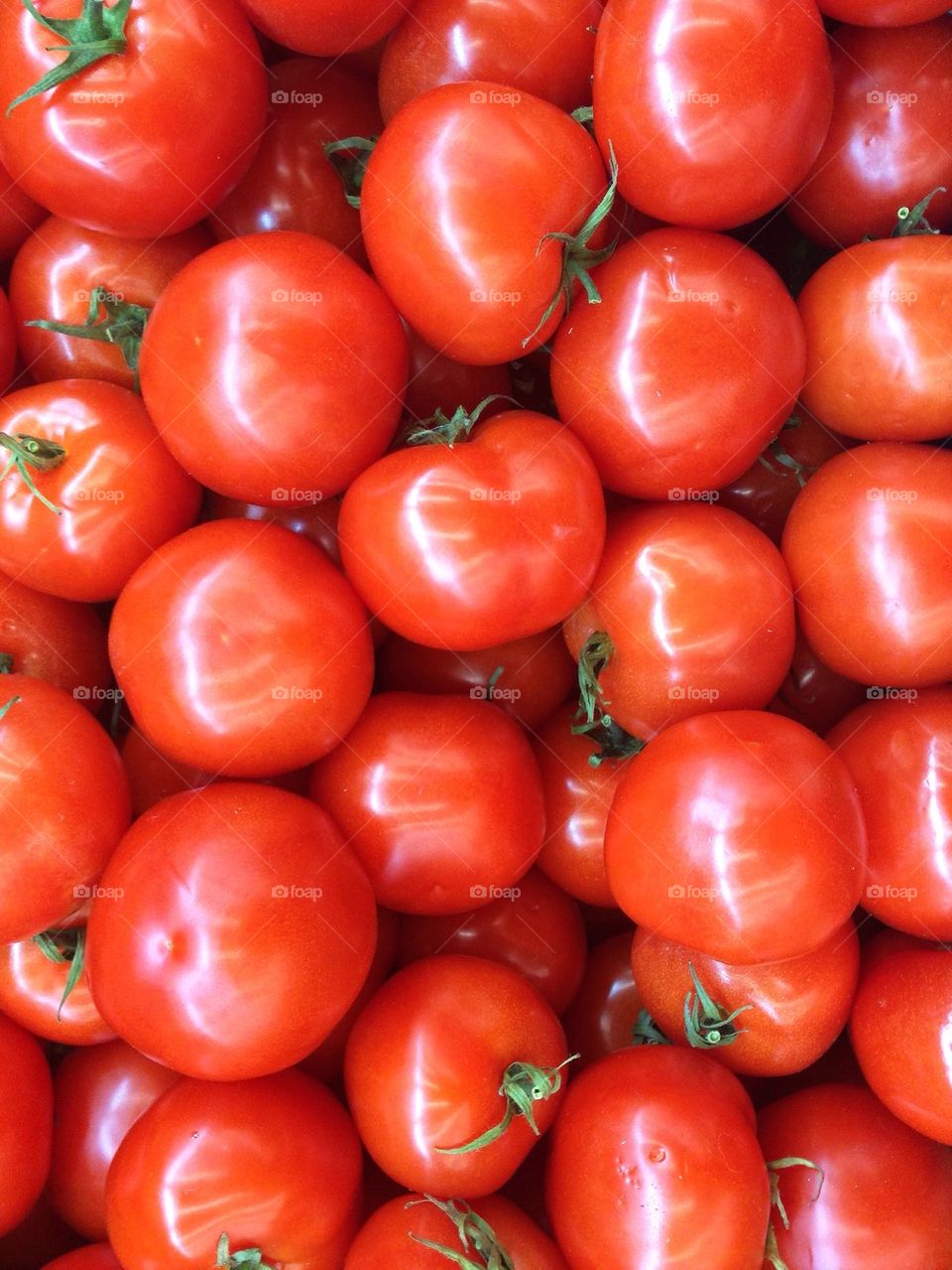 High angle view of tomato