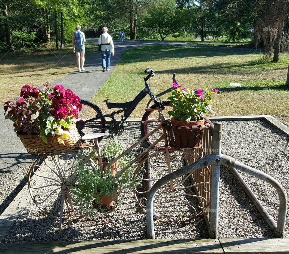 Bike Rack