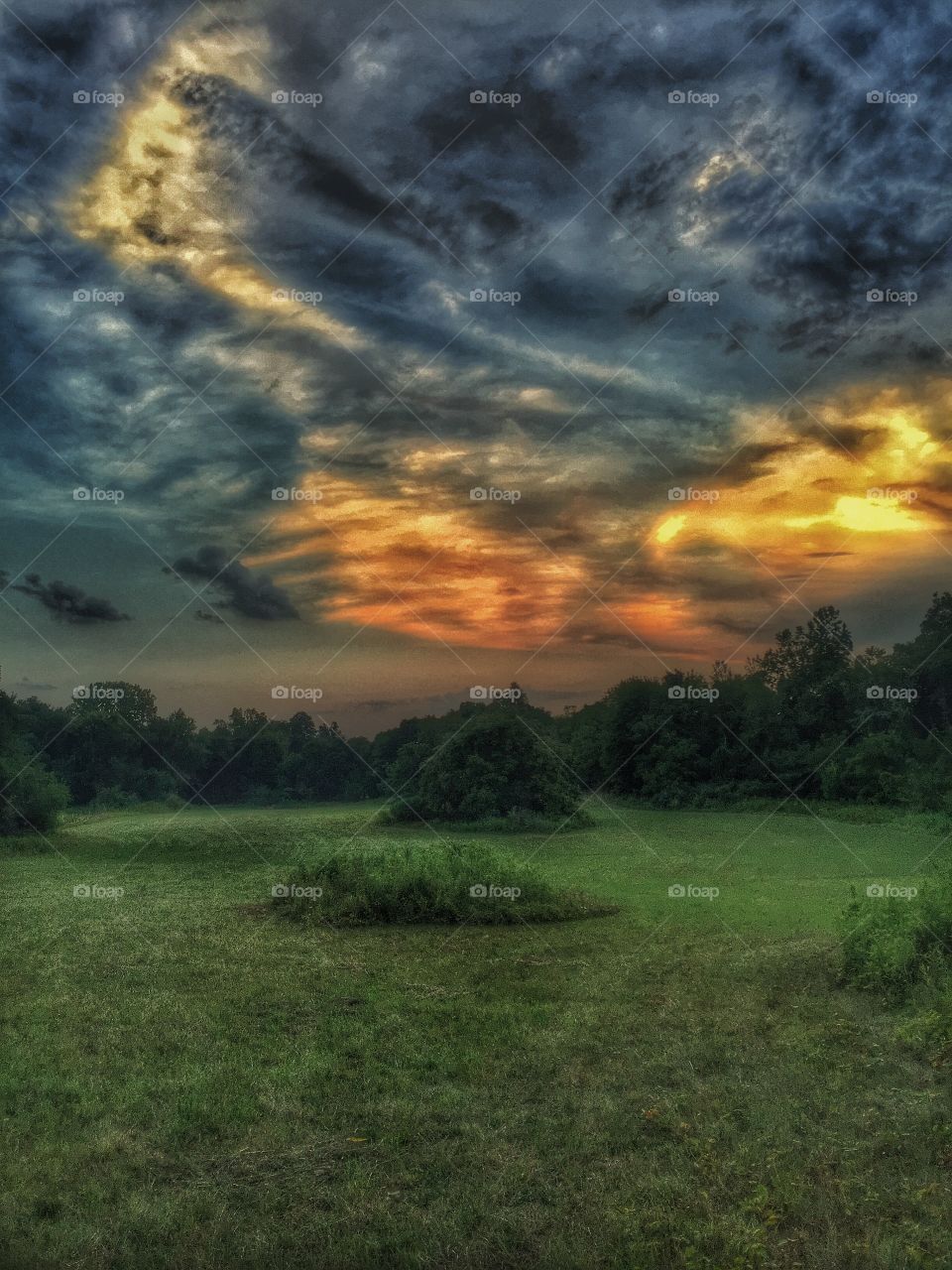 Sunset over a clearing . Sunset on a storm say over a clearing in the forest. 