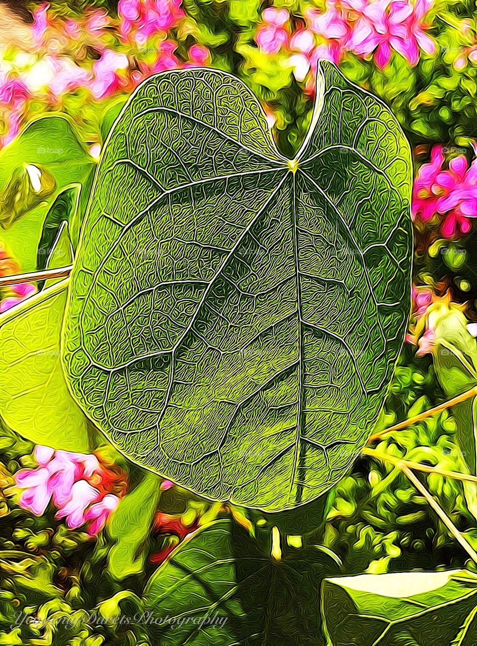 Swirly leaf 
