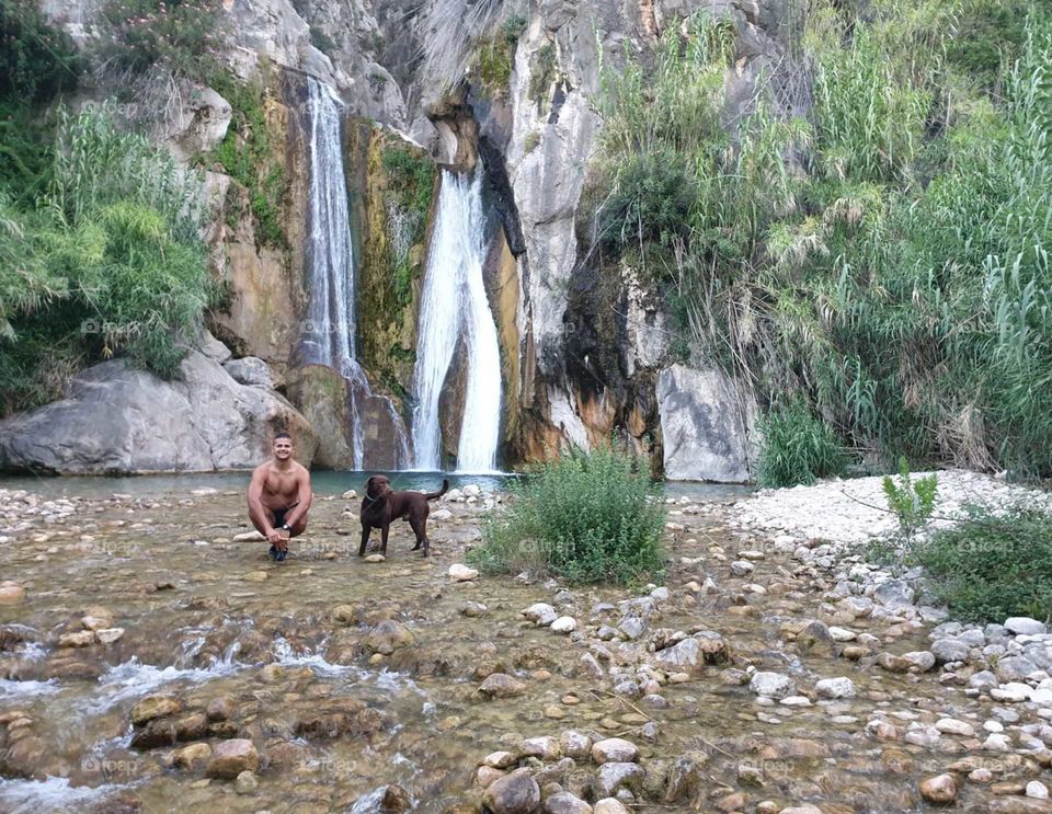 Labrador#dog#canine#human#waterfalls#chill#nature#stones#greengrass
