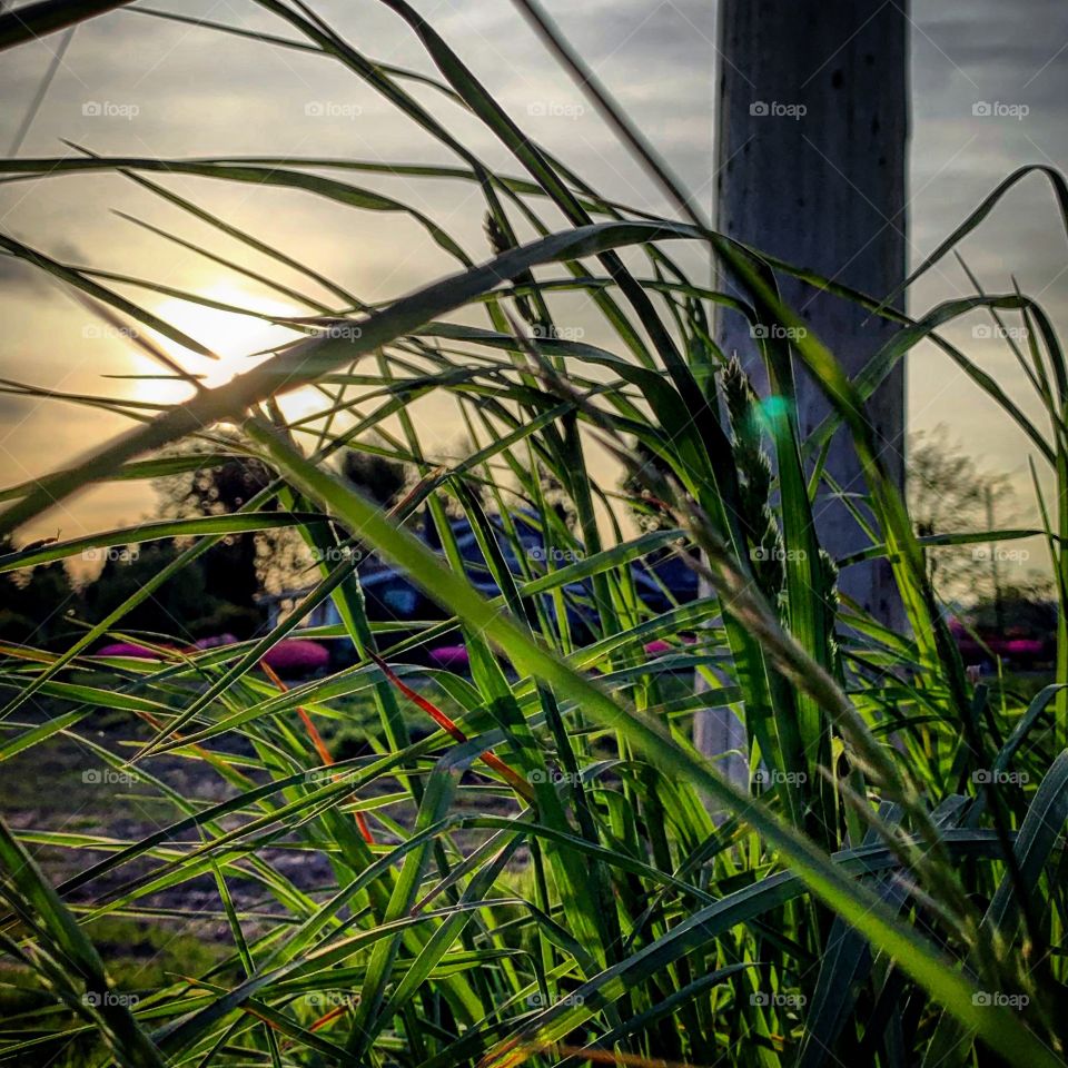 Beauty is all around us