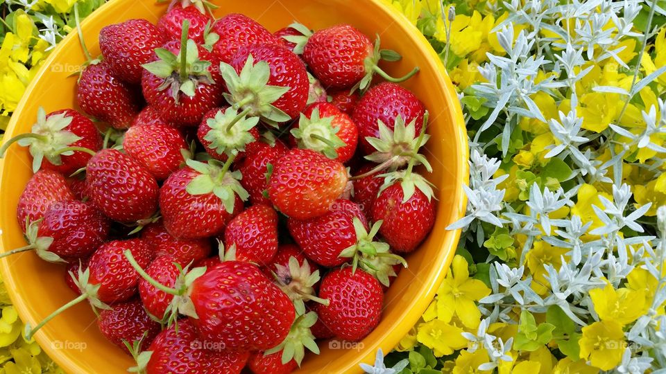 Strawberry from my garden