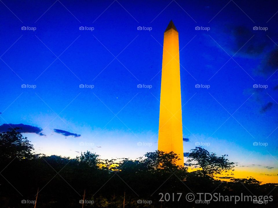 Washington Monument | Dusk 
