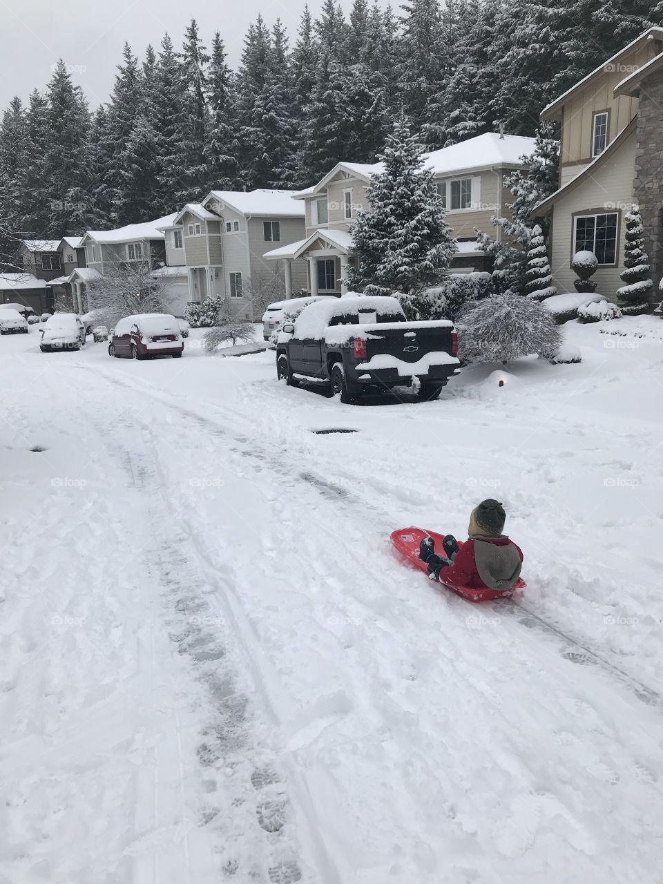 Sledding in the snow