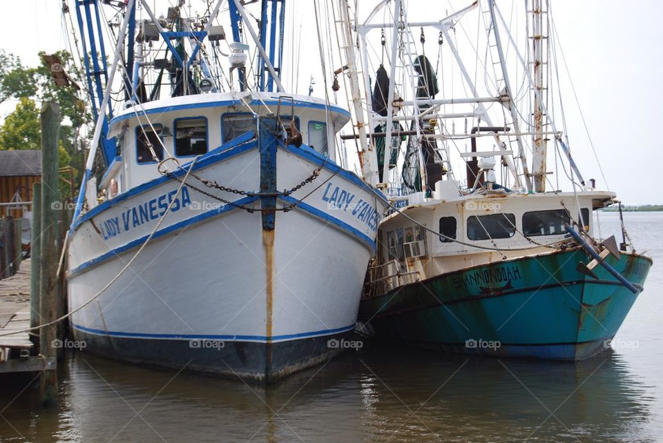 Shrimp boats