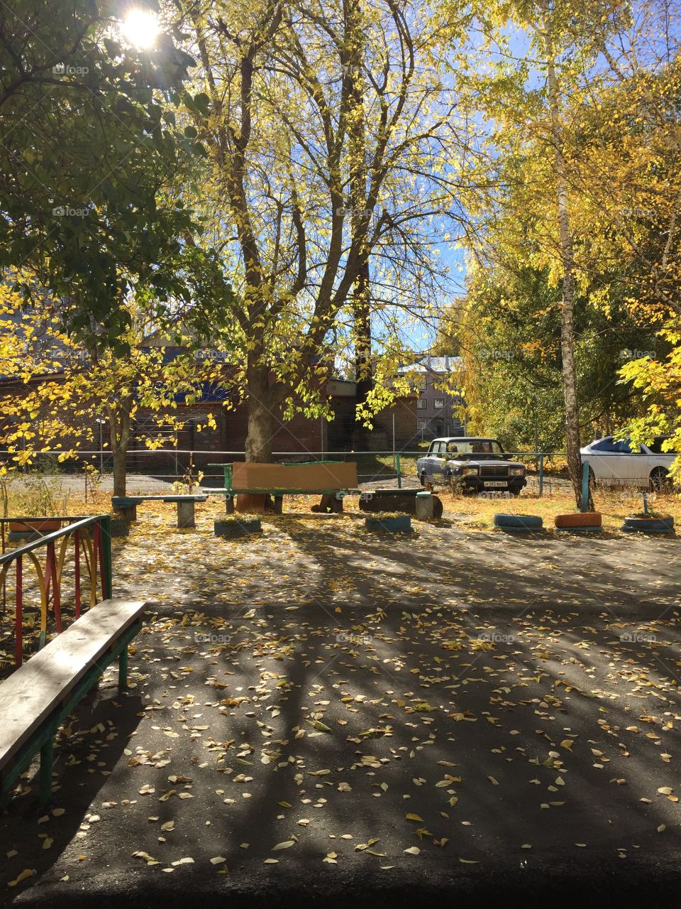 Gold autumn has begun 