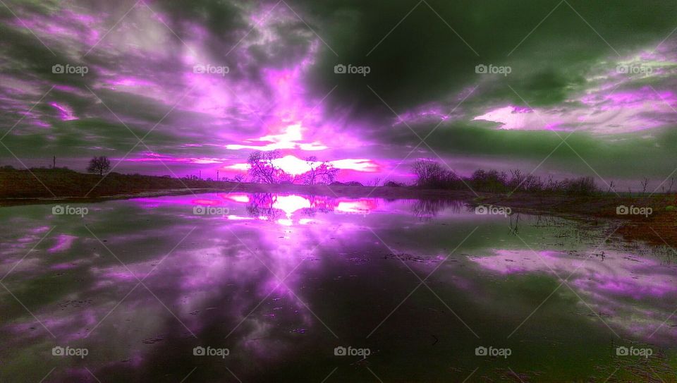 purple sunset over the water