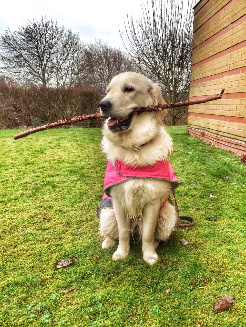 Zoe and her big stick