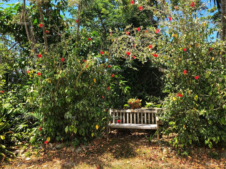 Bench in garden with flowers