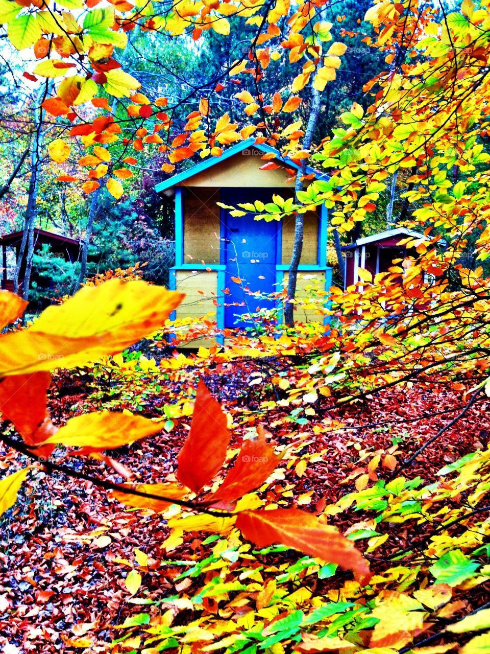 Beachhut in Autumn