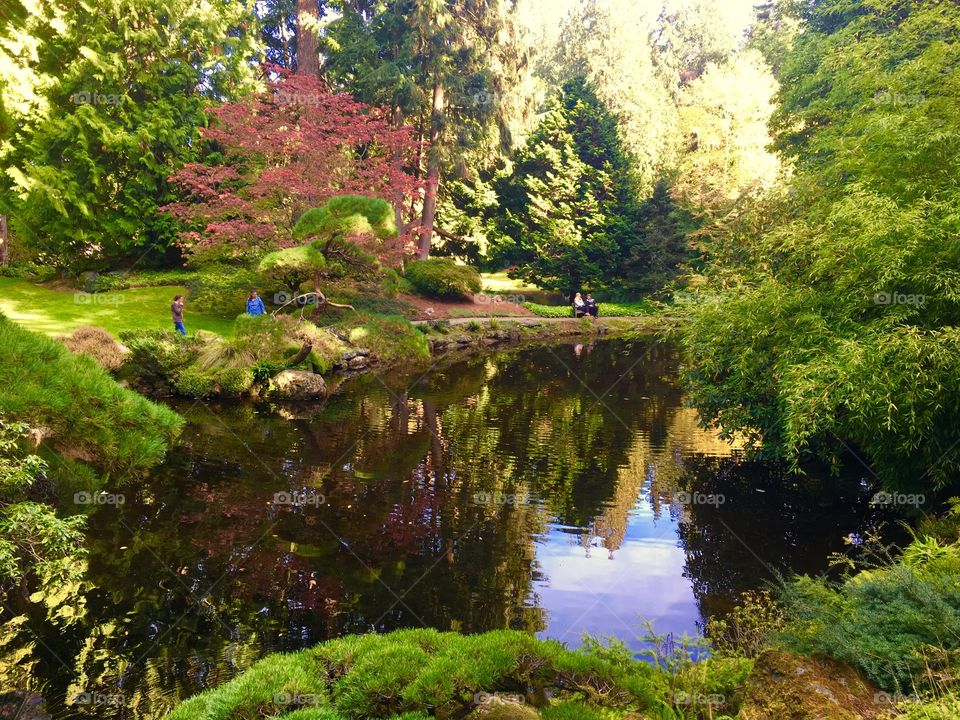 Serenity Pond