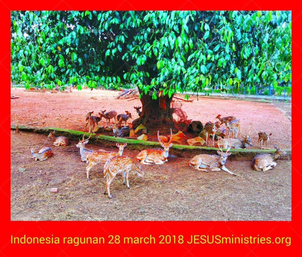 Indonesia ragunan 28 march 2018 JESUSministries.org