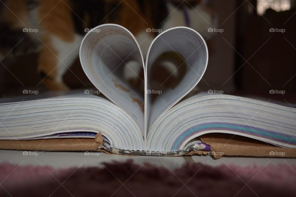 The Pages of the Heart