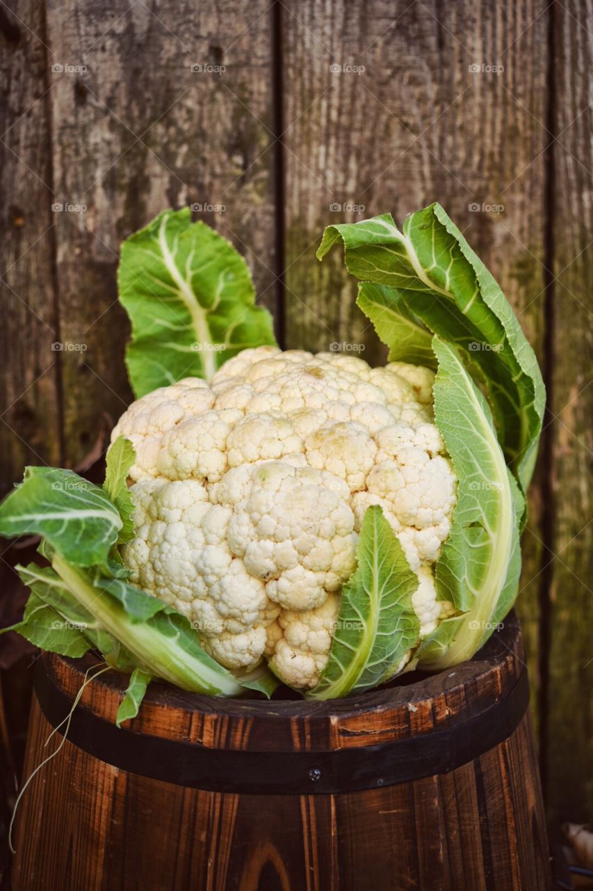 Cafliflower in bucket