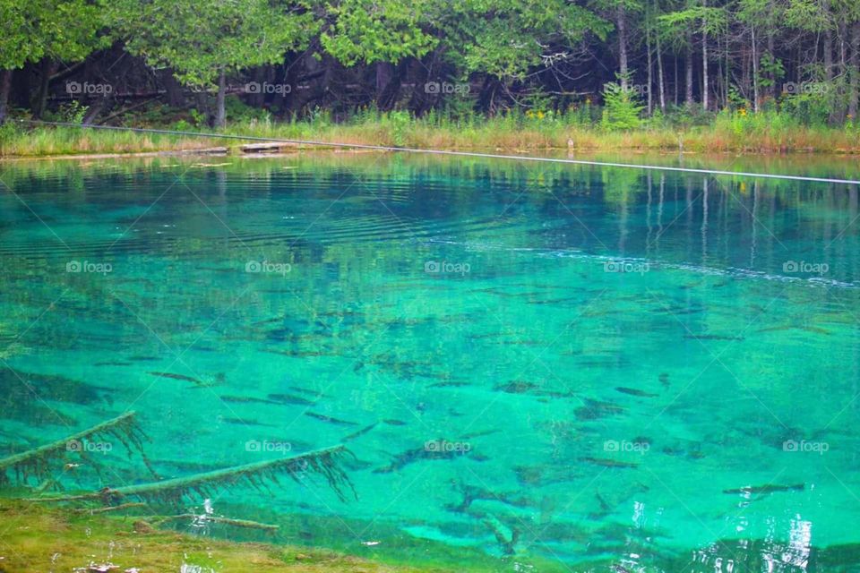 Water, Nature, Travel, No Person, Lake