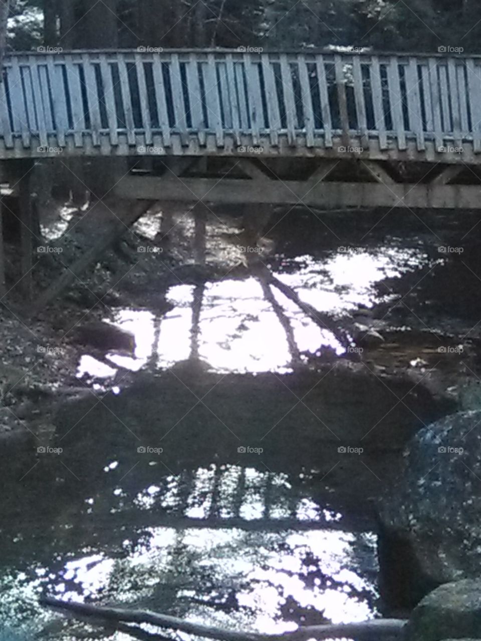Bridge and Reflection
