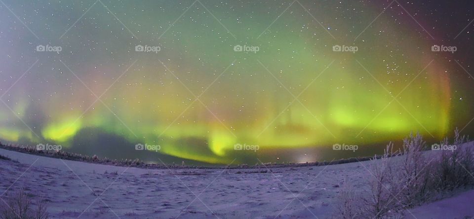 Winter, winter time, winter landscape, winter fairy tale, frost, frosty lace, north, arctic, snow, winter sunset, winter morning, snowy land, northern land, northern latitude, cold, red, frosty morning, snow on branches, ice, icy branches, sun, winte