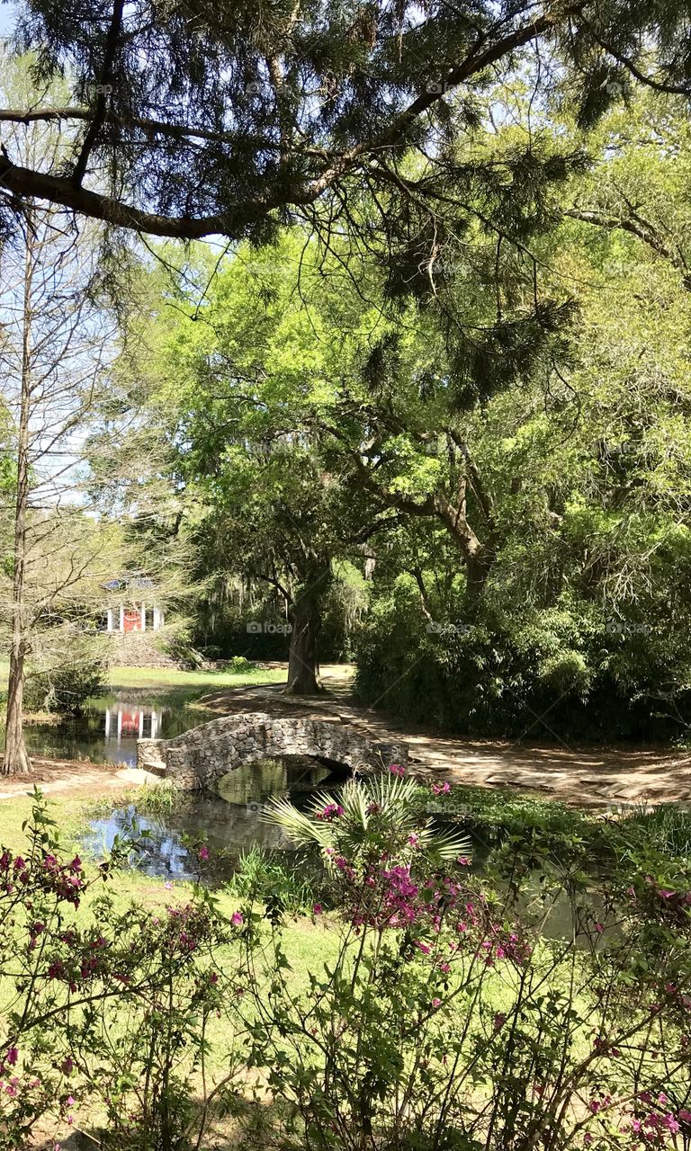 Bridge to temple 